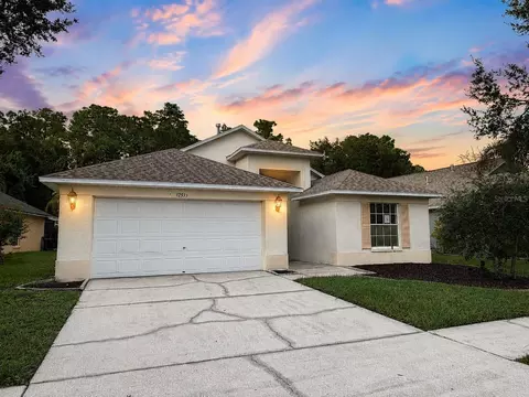 12533 Sparkleberry Rd, Tampa, FL 33626