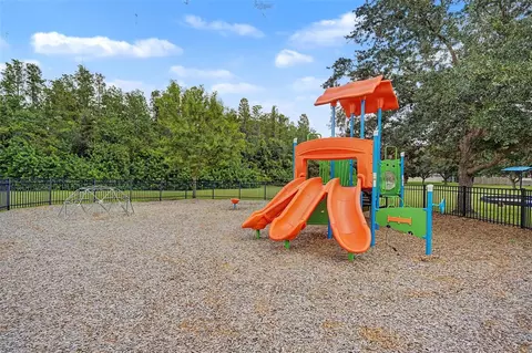 Other - 1045 Maza Pl, Trinity, FL 34655 photo 4 of 6