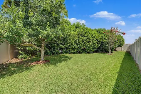Exterior - 1045 Maza Pl, Trinity, FL 34655 photo 8 of 8