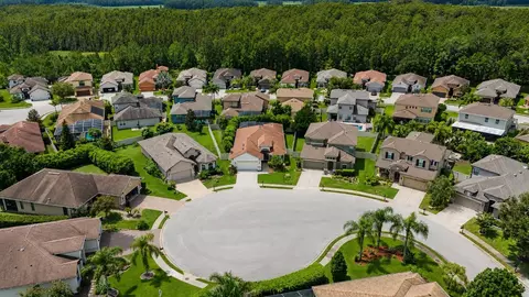 View/Area - 1045 Maza Pl, Trinity, FL 34655 photo 2 of 5