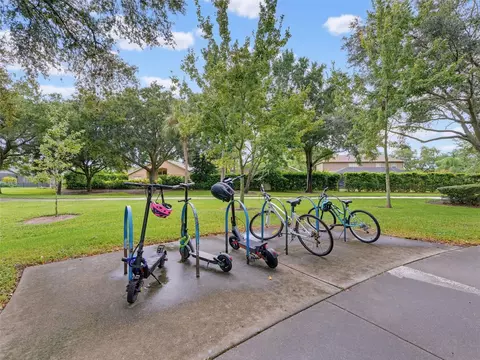 Exterior - 1900 Cardamon Dr, Trinity, FL 34655 photo 13 of 18