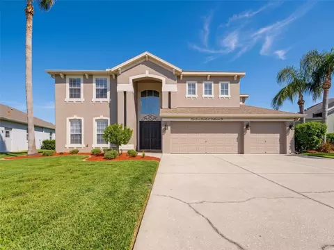 Exterior - 1900 Cardamon Dr, Trinity, FL 34655 photo 1 of 18