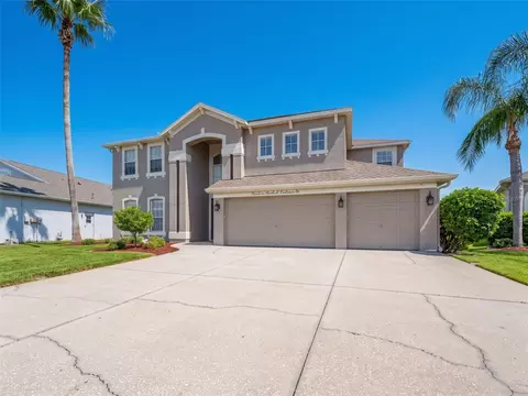 Exterior - 1900 Cardamon Dr, Trinity, FL 34655 photo 16 of 18
