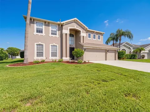 Exterior - 1900 Cardamon Dr, Trinity, FL 34655 photo 17 of 18