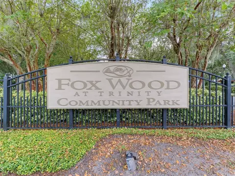 View/Area - 1900 Cardamon Dr, Trinity, FL 34655 photo 11 of 13