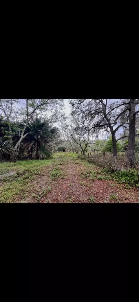 20231 Painter Place Pl, Spring Hill, FL 34610 photo 7