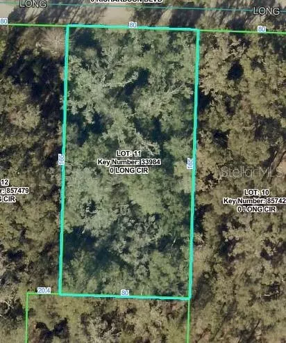 Long Circle, Webster, FL 33597 photo 2
