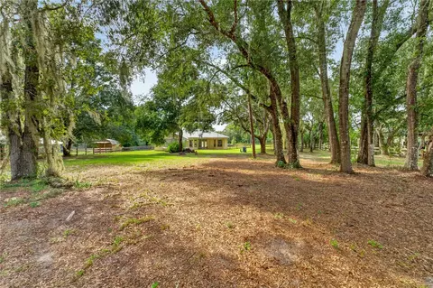 Exterior - 6476 Larry Ave, Webster, FL 33597 photo 11 of 14