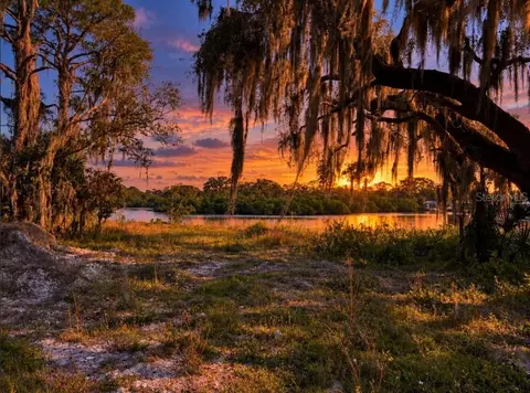 Tiberius Trail, New Port Richey, FL 34652