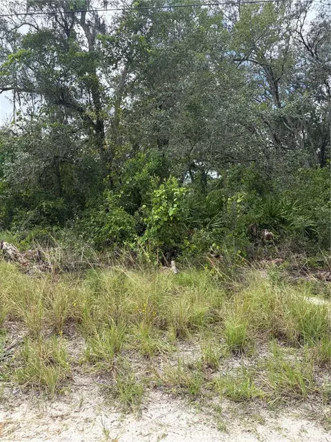 10333 Gilmer, New Port Richey, FL 34654