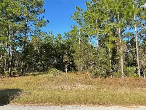 9 11 Poppy St, Homosassa, FL 34446