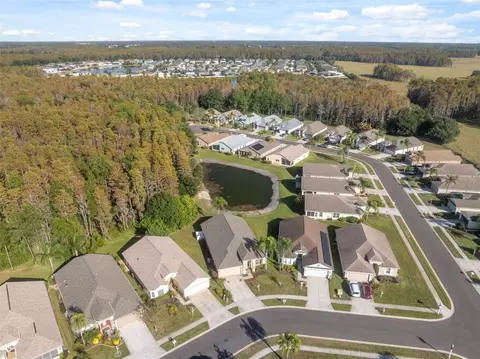 View/Area - 1201 Dustan Pl, Trinity, FL 34655 photo 4 of 21