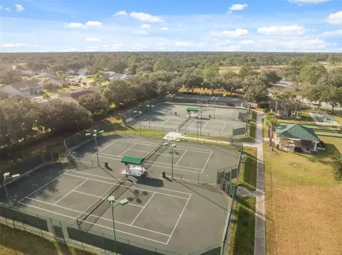 View/Area - 1201 Dustan Pl, Trinity, FL 34655 photo 15 of 21