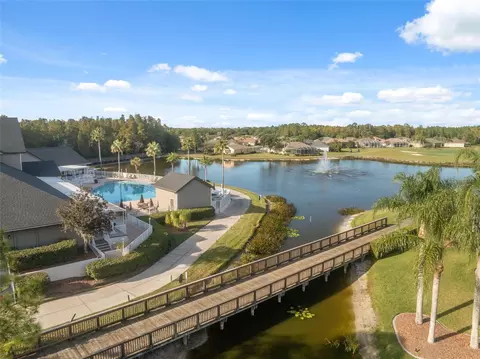 View/Area - 1201 Dustan Pl, Trinity, FL 34655 photo 11 of 21