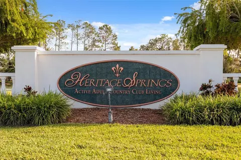 View/Area - 1201 Dustan Pl, Trinity, FL 34655 photo 5 of 21