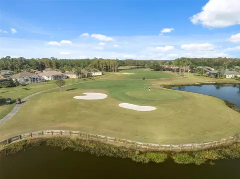 View/Area - 1201 Dustan Pl, Trinity, FL 34655 photo 19 of 21