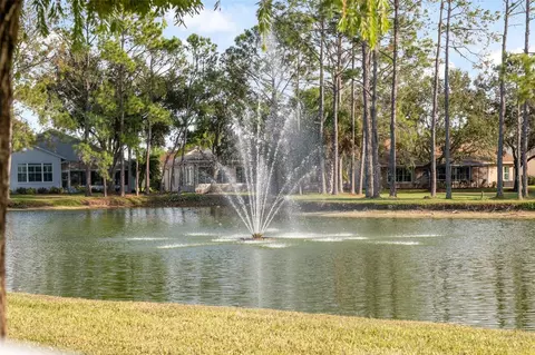 View/Area - 1201 Dustan Pl, Trinity, FL 34655 photo 6 of 21