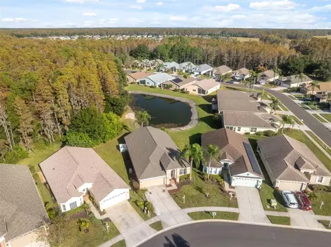 View/Area - 1201 Dustan Pl, Trinity, FL 34655 photo 2 of 21