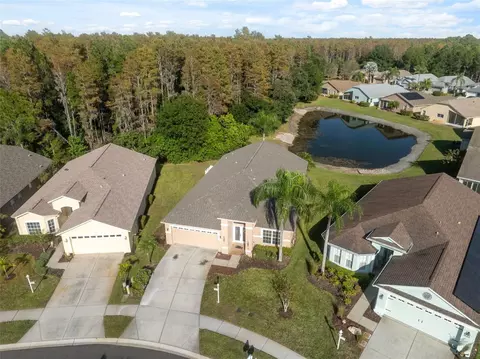 View/Area - 1201 Dustan Pl, Trinity, FL 34655 photo 1 of 21