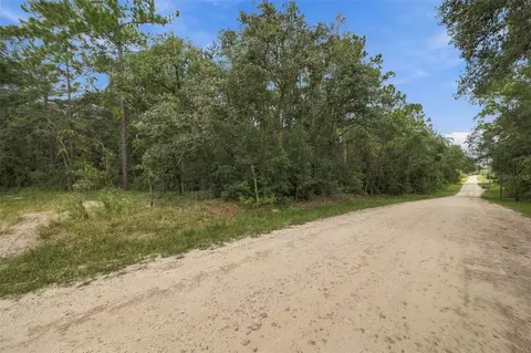 Elaine Drive, Webster, FL 33597 photo 2