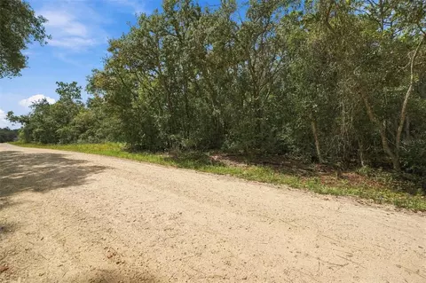 Elaine Drive, Webster, FL 33597 photo 3
