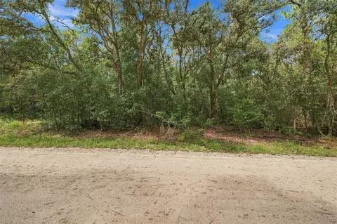 Elaine Drive, Webster, FL 33597 photo 4
