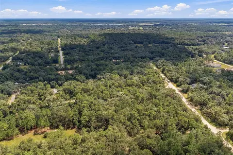 Elaine Drive, Webster, FL 33597 photo 7