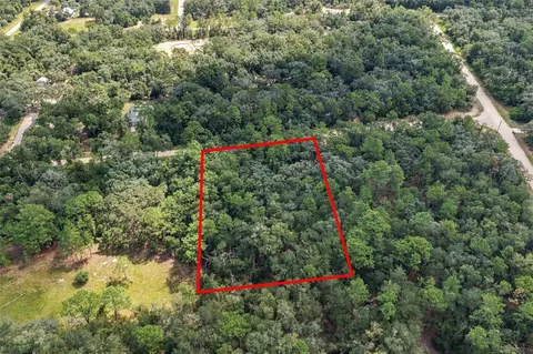 Elaine Drive, Webster, FL 33597 photo 5