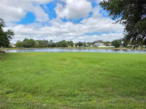 View/Area - 15801 Stable Run Dr, Spring Hill, FL 34610 photo 3 of 3
