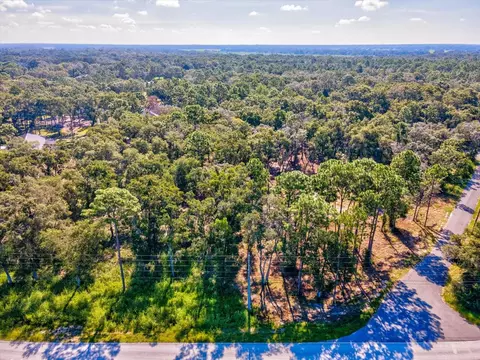 15504 Lenway Rd, Spring Hill, FL 34610 photo 17