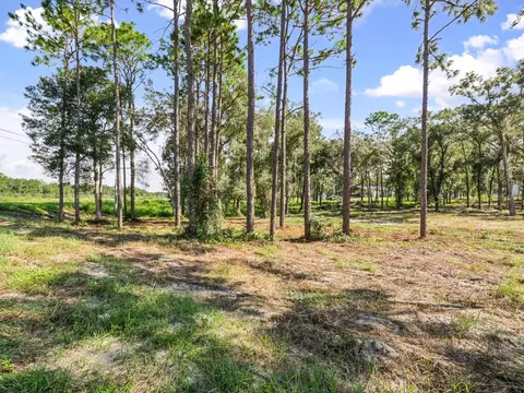 15504 Lenway Rd, Spring Hill, FL 34610 photo 3