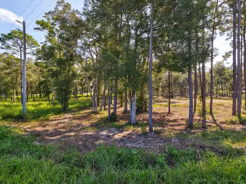 15504 Lenway Rd, Spring Hill, FL 34610 photo 6