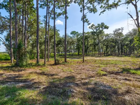 15504 Lenway Rd, Spring Hill, FL 34610 photo 4