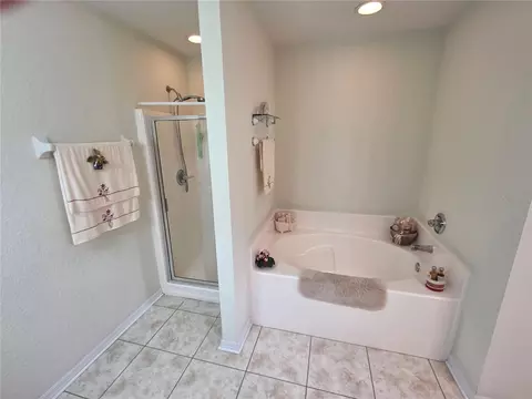 Bath - 11026 Little St, Spring Hill, FL 34608 photo 1 of 6