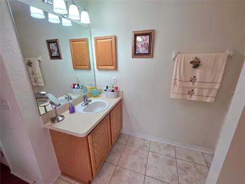 Bath - 11026 Little St, Spring Hill, FL 34608 photo 3 of 6