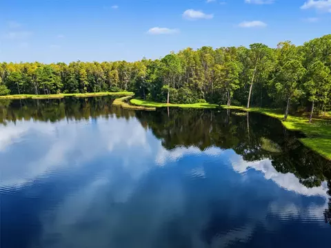 View/Area - 1300 Trimaran Pl, Trinity, FL 34655 photo 15 of 25