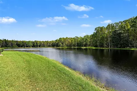 View/Area - 1300 Trimaran Pl, Trinity, FL 34655 photo 12 of 25