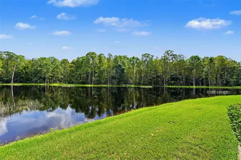 View/Area - 1300 Trimaran Pl, Trinity, FL 34655 photo 8 of 25
