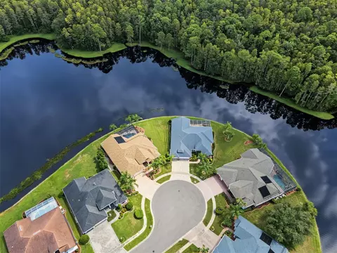 View/Area - 1300 Trimaran Pl, Trinity, FL 34655 photo 4 of 25