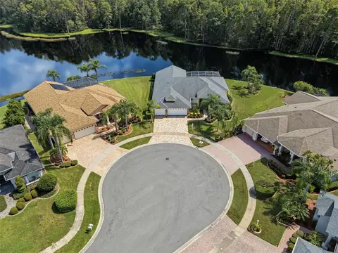 View/Area - 1300 Trimaran Pl, Trinity, FL 34655 photo 16 of 25