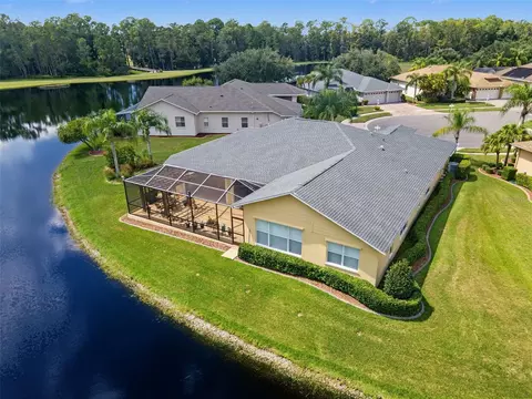 View/Area - 1300 Trimaran Pl, Trinity, FL 34655 photo 7 of 25