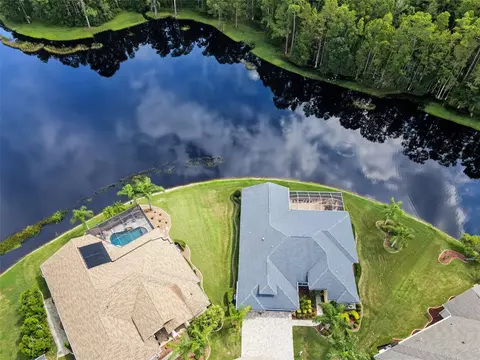 View/Area - 1300 Trimaran Pl, Trinity, FL 34655 photo 3 of 25