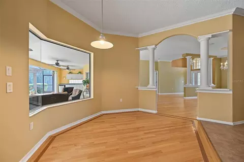 Other - 1300 Trimaran Pl, Trinity, FL 34655 photo 2 of 19
