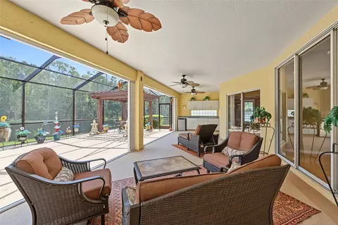 Exterior - 1300 Trimaran Pl, Trinity, FL 34655 photo 8 of 21