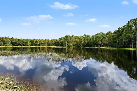 View/Area - 1300 Trimaran Pl, Trinity, FL 34655 photo 11 of 25