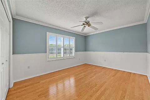 Bedroom - 1300 Trimaran Pl, Trinity, FL 34655 photo 5 of 6