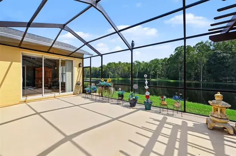 Other - 1300 Trimaran Pl, Trinity, FL 34655 photo 8 of 19