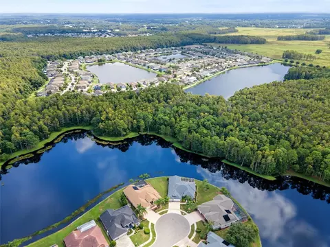 View/Area - 1300 Trimaran Pl, Trinity, FL 34655 photo 5 of 25
