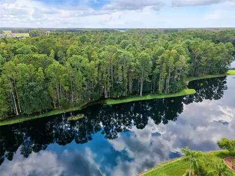 View/Area - 1300 Trimaran Pl, Trinity, FL 34655 photo 2 of 25