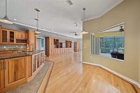 Other - 1300 Trimaran Pl, Trinity, FL 34655 photo 3 of 19
